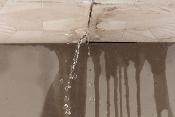 Professional Sewage Cleanup technician working in Maysville, KY